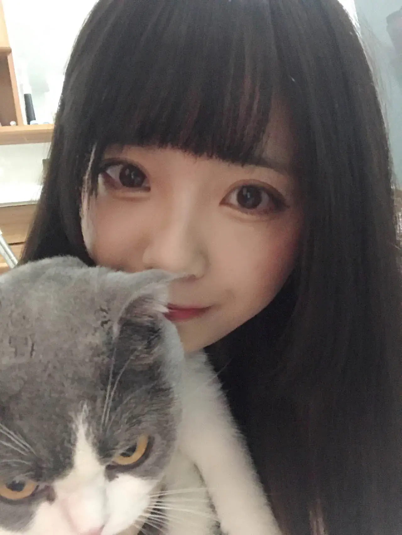 小野妹子w写真合集下载&amp;汇总：婉约多姿，纤腰玉立[47套-7.1G]